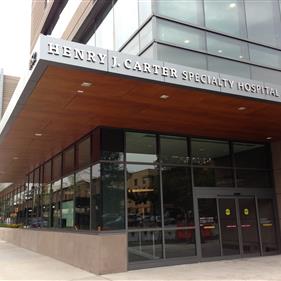 Henry Carter Hospital